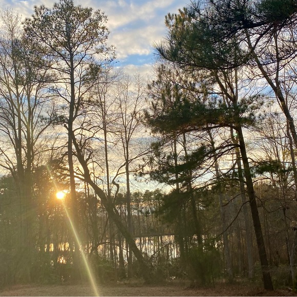 Meet your Posher, Devon 🔮 🪄 🌙 ✌🏼 ☮️ - Picture 6 of 15